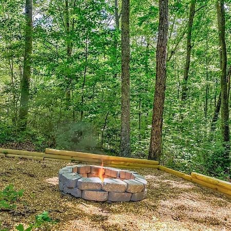 Huckleberry Forest Blue Ridge Ngoại thất bức ảnh